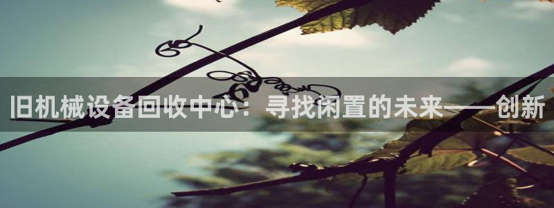 鸿运阿姨直播平台