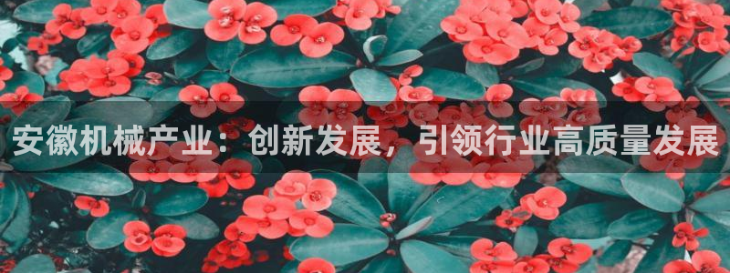 彩票鸿运直播平台