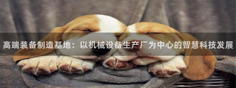 琥珀鸿运是啥平台