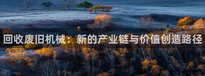 琥珀鸿运平台靠谱吗