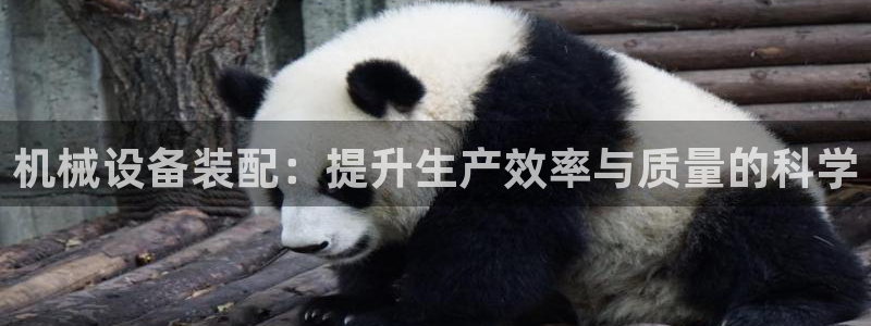 鸿运快三直播平台