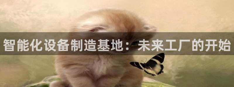 鸿运链锁管理平台