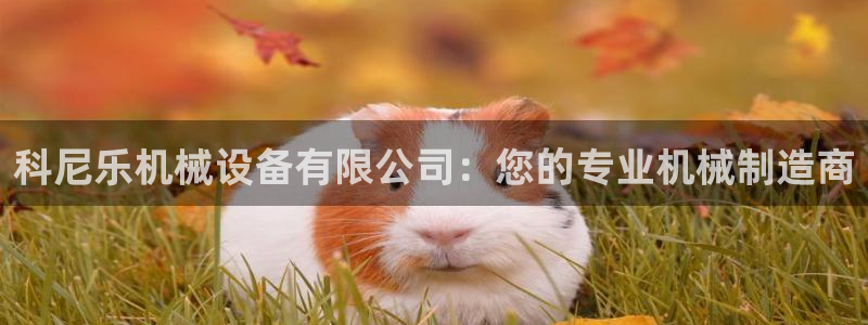 鸿运彩票平台怎样