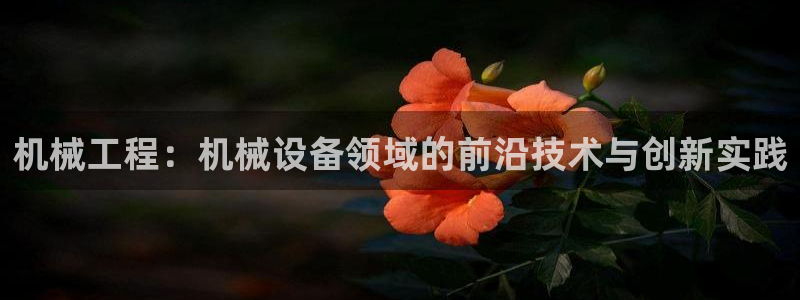 新鸿运娱乐平台