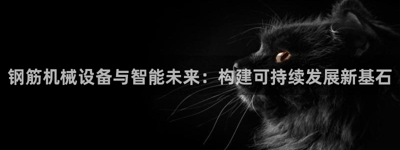 鸿运是哪里平台