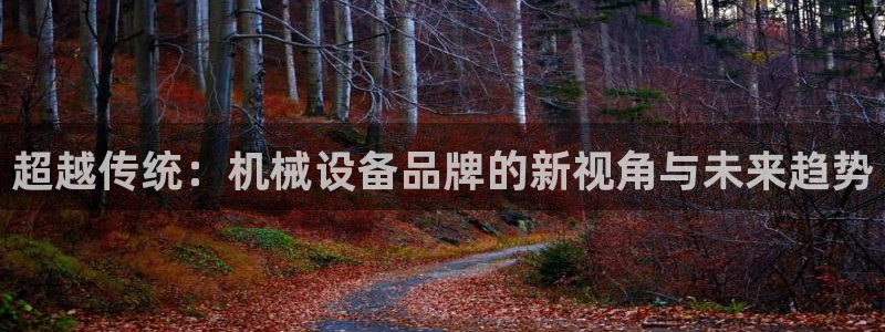 鸿运锦囊是什么平台