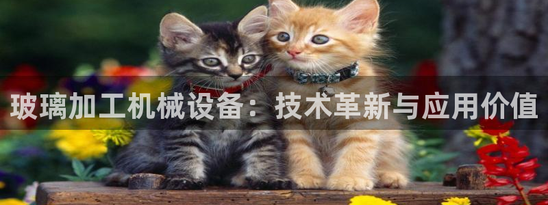 鸿运注册平台是什么