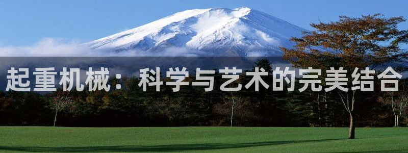 鸿运服务平台是什么