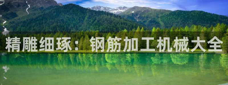 鸿运和拍拍卖平台