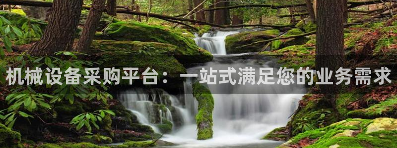 鸿运国际平台平