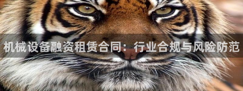 鸿运国际平台平台介绍