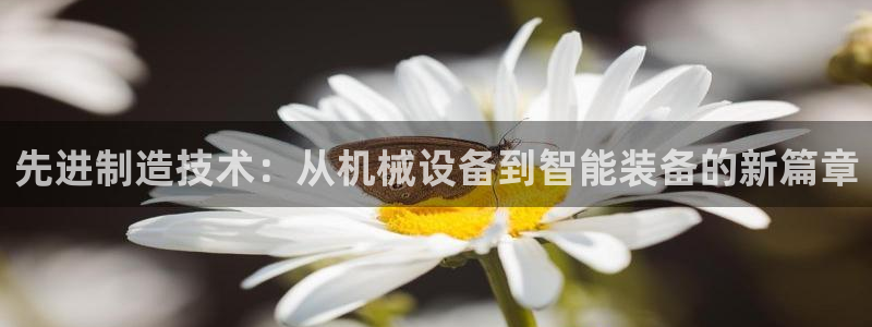 鸿运资本平台被骗