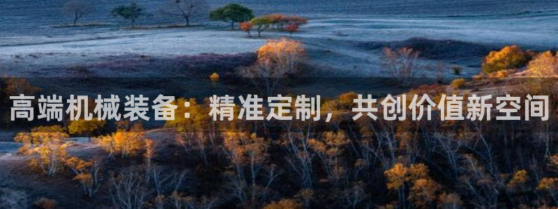 鸿运彩 票诈骗平台