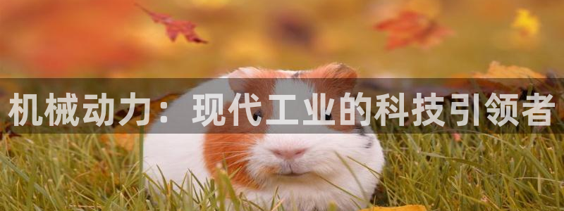 鸿运购彩平台lottery