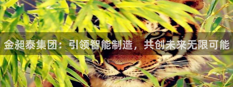大发鸿运平台