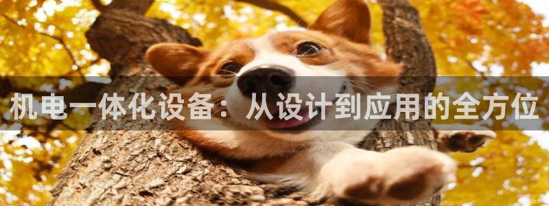 鸿运赌城开户平台