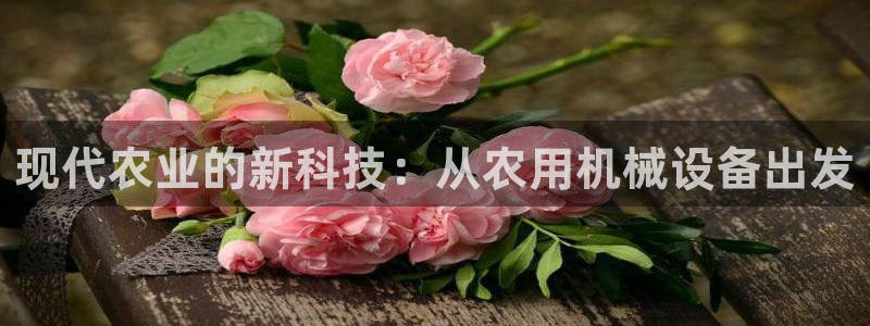 琥珀鸿运平台登录页面