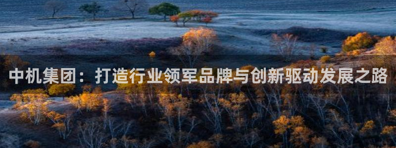 鸿运宝投资理财平台