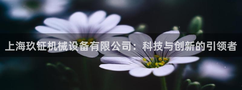 鸿运网站平台