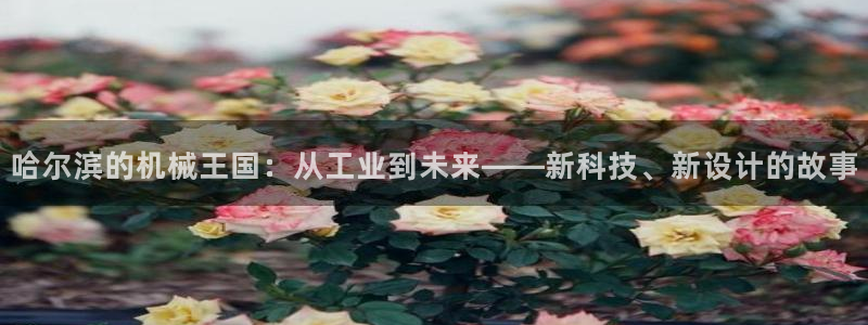 琥珀鸿运平台怎么提现