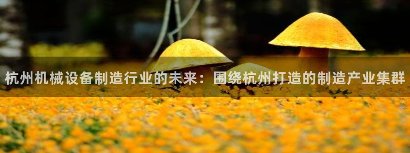 盛世鸿运是什么平台