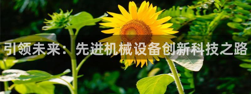 鸿运网平台用户
