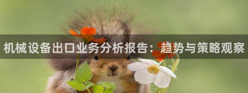 鸿运服务平台