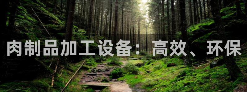 鸿运游戏平台投注