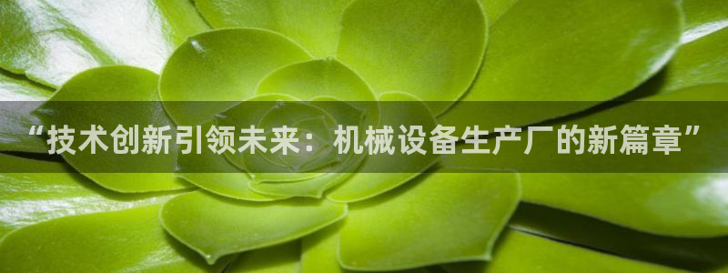 鸿运满堂平台