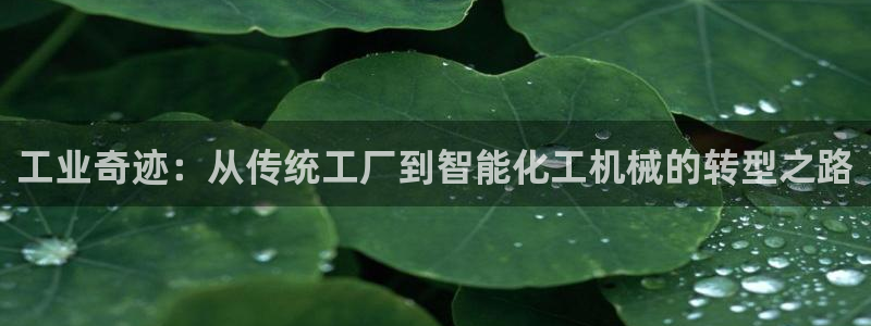 鸿运直播平台安卓版