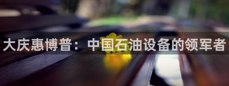 鸿运平台代理平