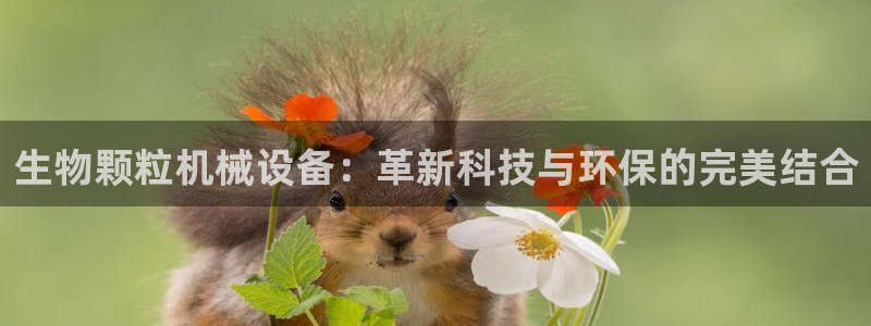 琥珀鸿运是啥平台