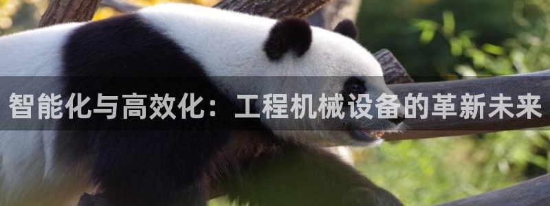 鸿运策略平台股票骗局