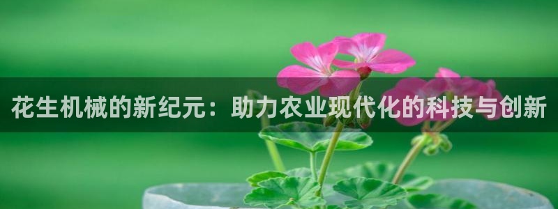 鸿运东方平台网站