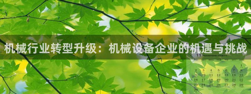 鸿运彩票是正常的平台吗