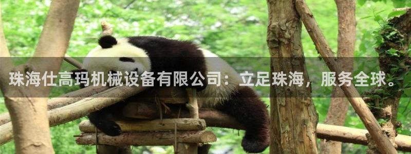 大发平台鸿运彩票