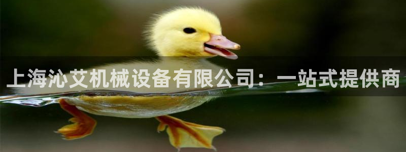 鸿运国际赌场平台