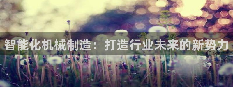 中国鸿运是什么平台