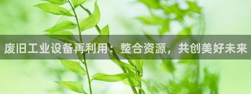 鸿运app平台