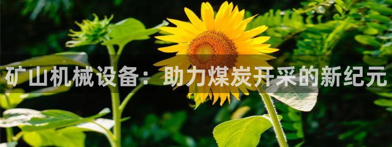 ZJ鸿运平台