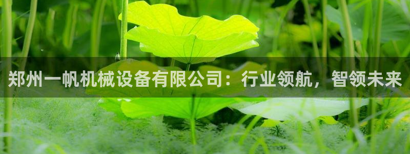 鸿运兄弟创造平台