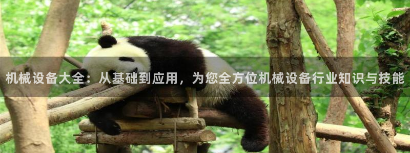 鸿运锦囊是什么平台