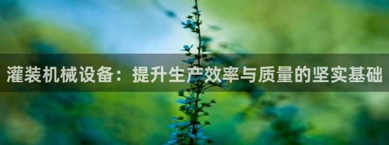 鸿运来补单平台