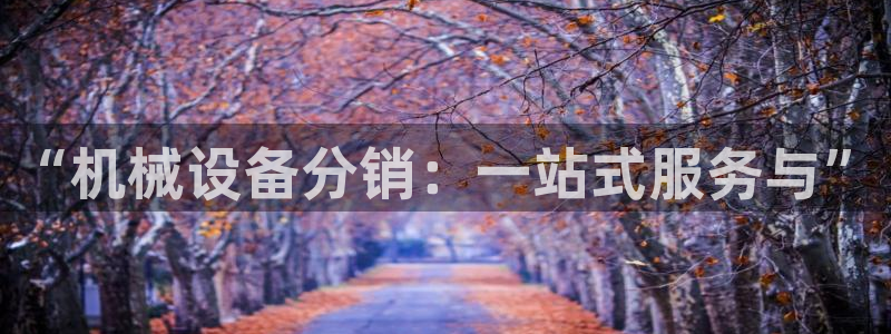 菲律宾鸿运彩票平台