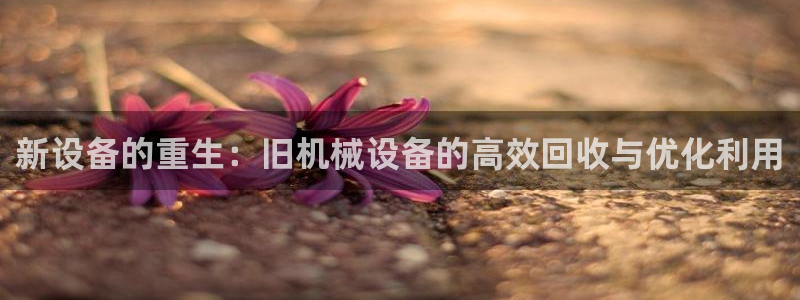 鸿运官网平台登录