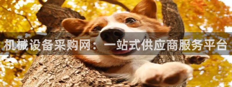 鸿运权威彩票平台