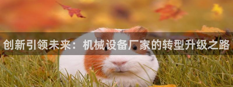 鸿运棋牌app平台