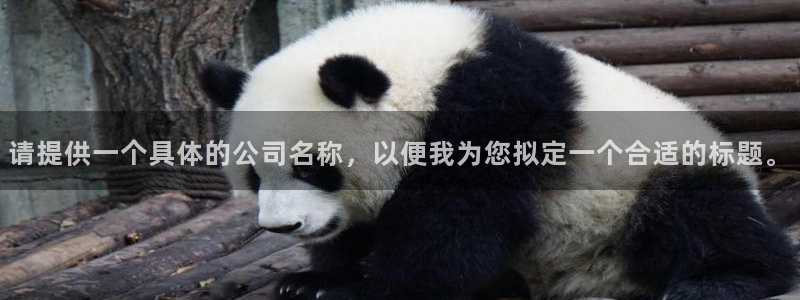 鸿运国际赌场平台