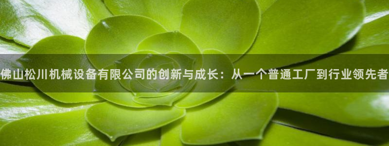 鸿运最新平台是什么