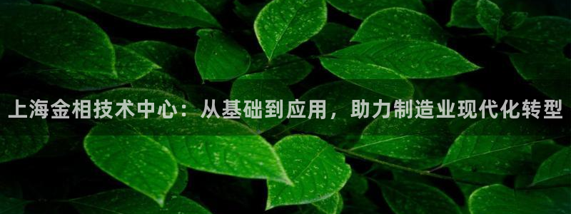 鸿运平台被骗事件